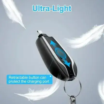 Portable Keychain Charger