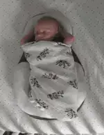 PORTABLE BABY BED